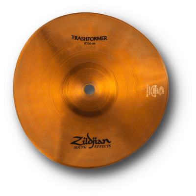 Trashformer 8"